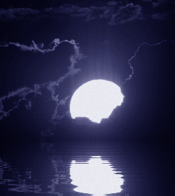 MoonWaterNight