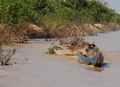 Icone Tonle Sap